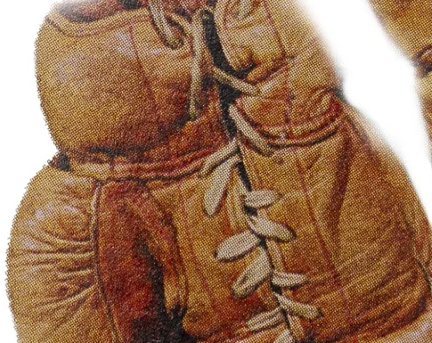 Guantes de boxeo históricos, recorte de la exposición